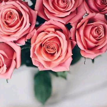 💞༊独ღ᭄宠ꦿ꯭এ᭄💞