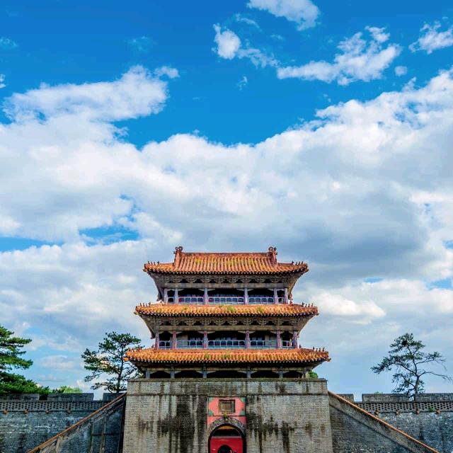 最美的慈爱