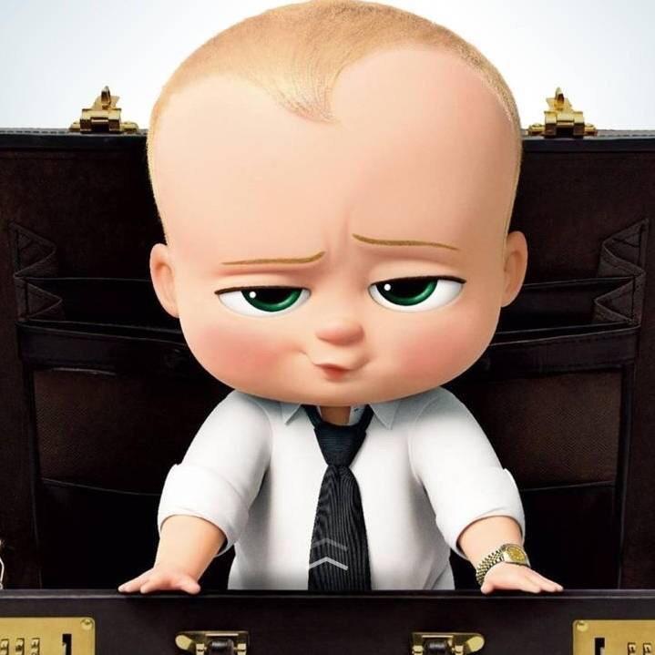 楼市观察员