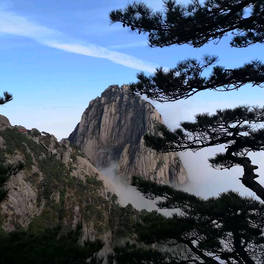 悠然南山(好物橱窗)