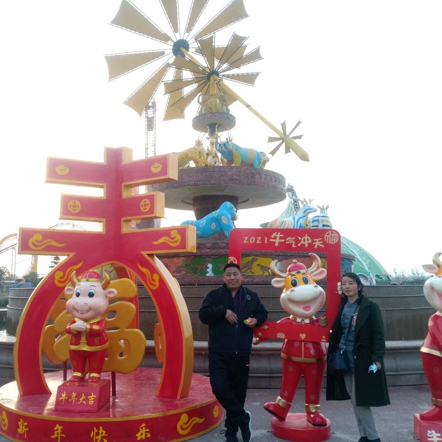 项城市志强精修电动车