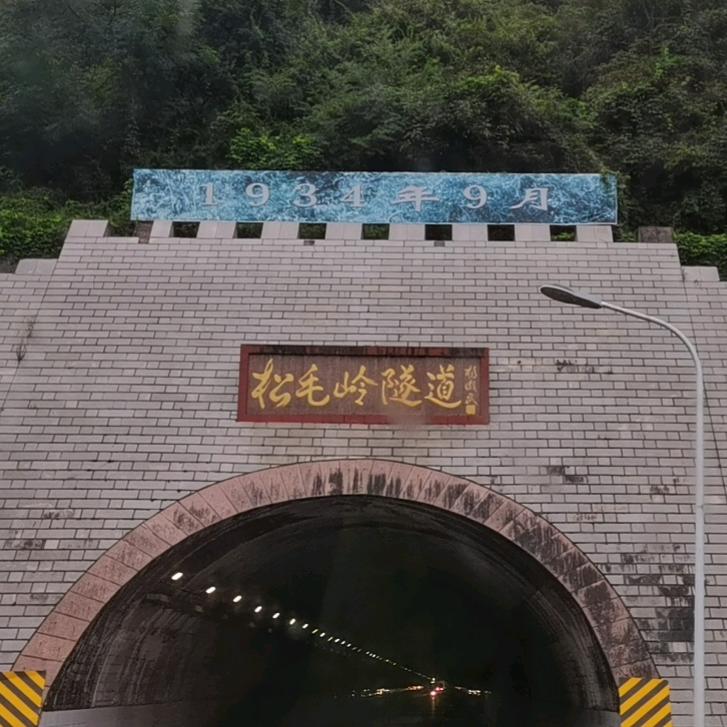 马乐