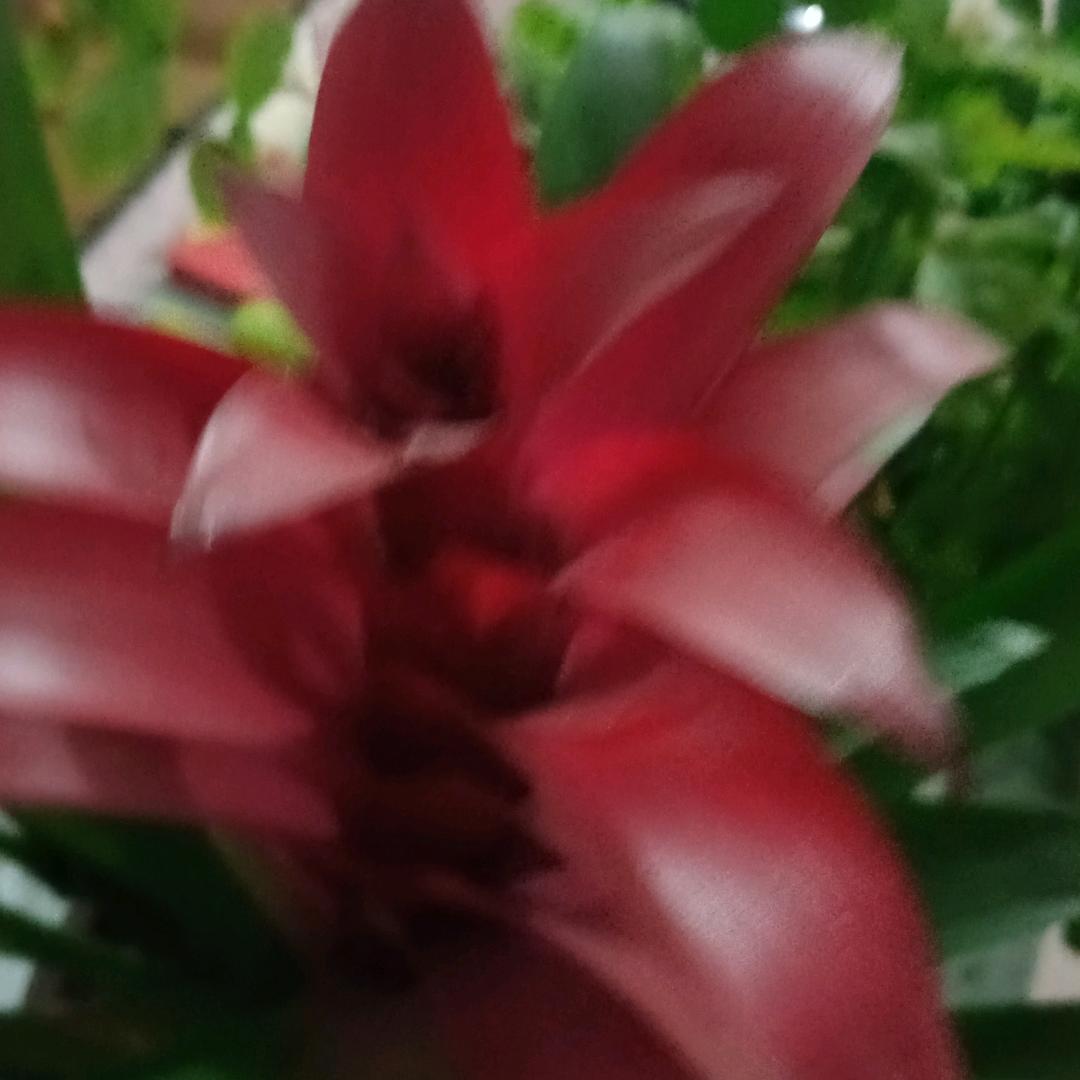 等待有缘人