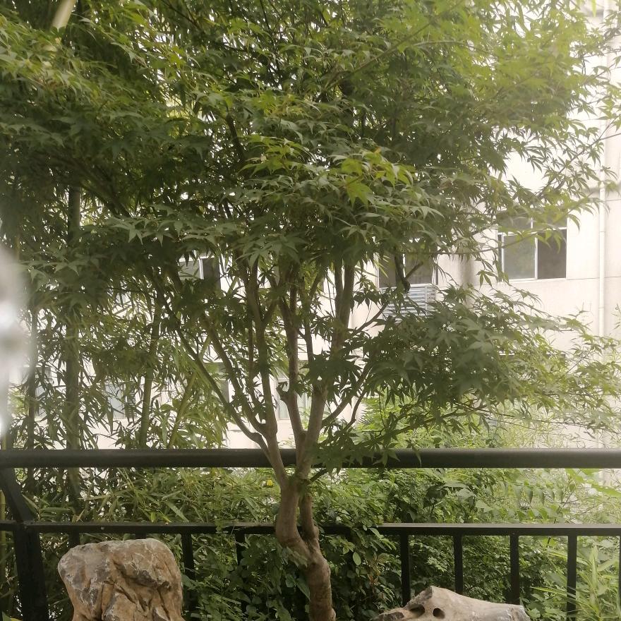 妙笔生花🌺☜头像