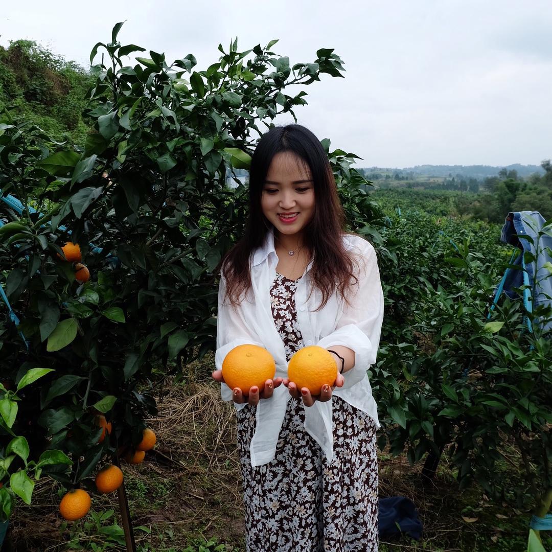 橘长很董事🍊
