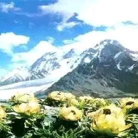 坚持到永远