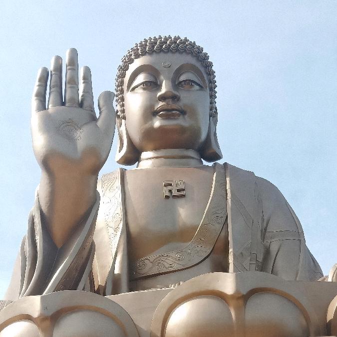 海8807果头像