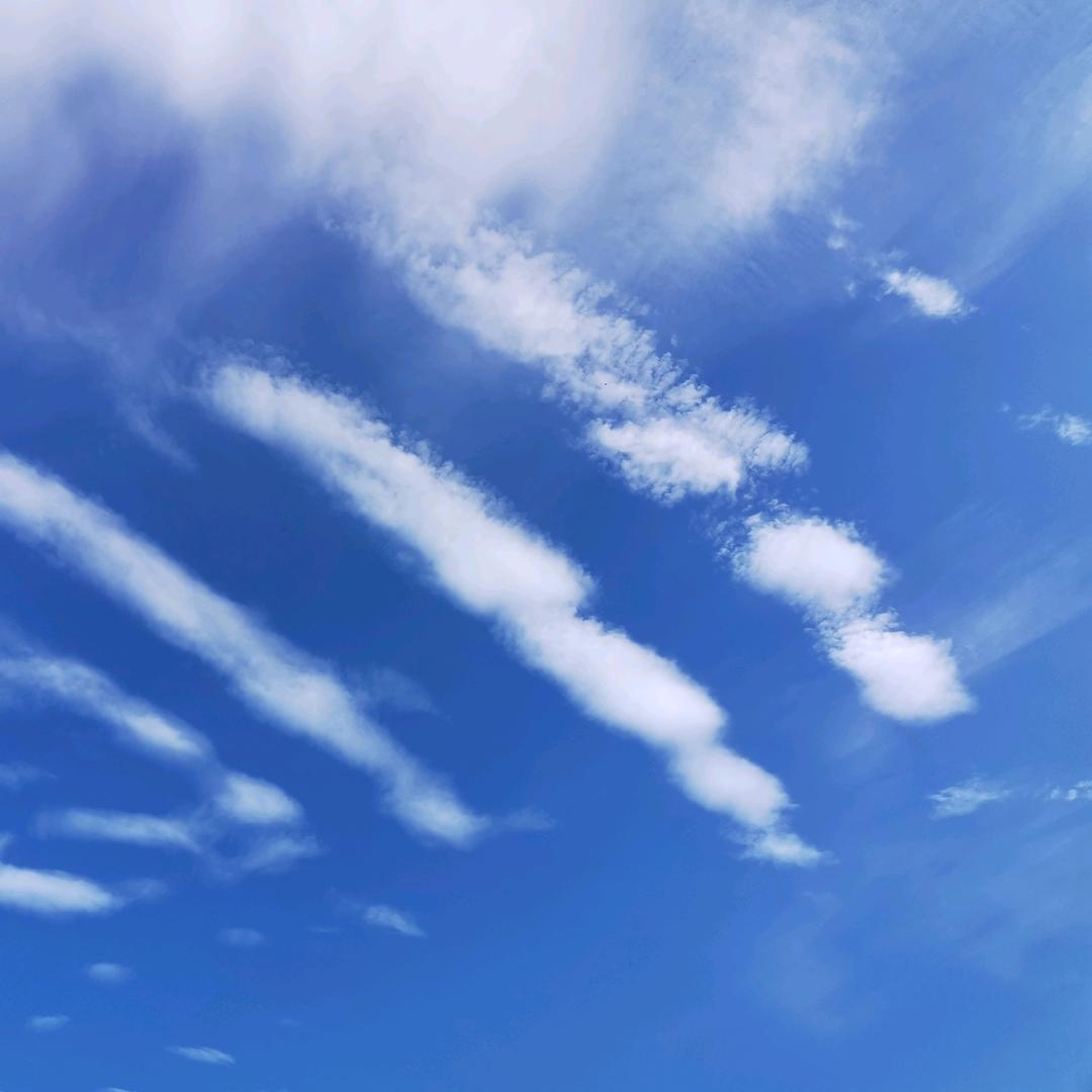 张培军