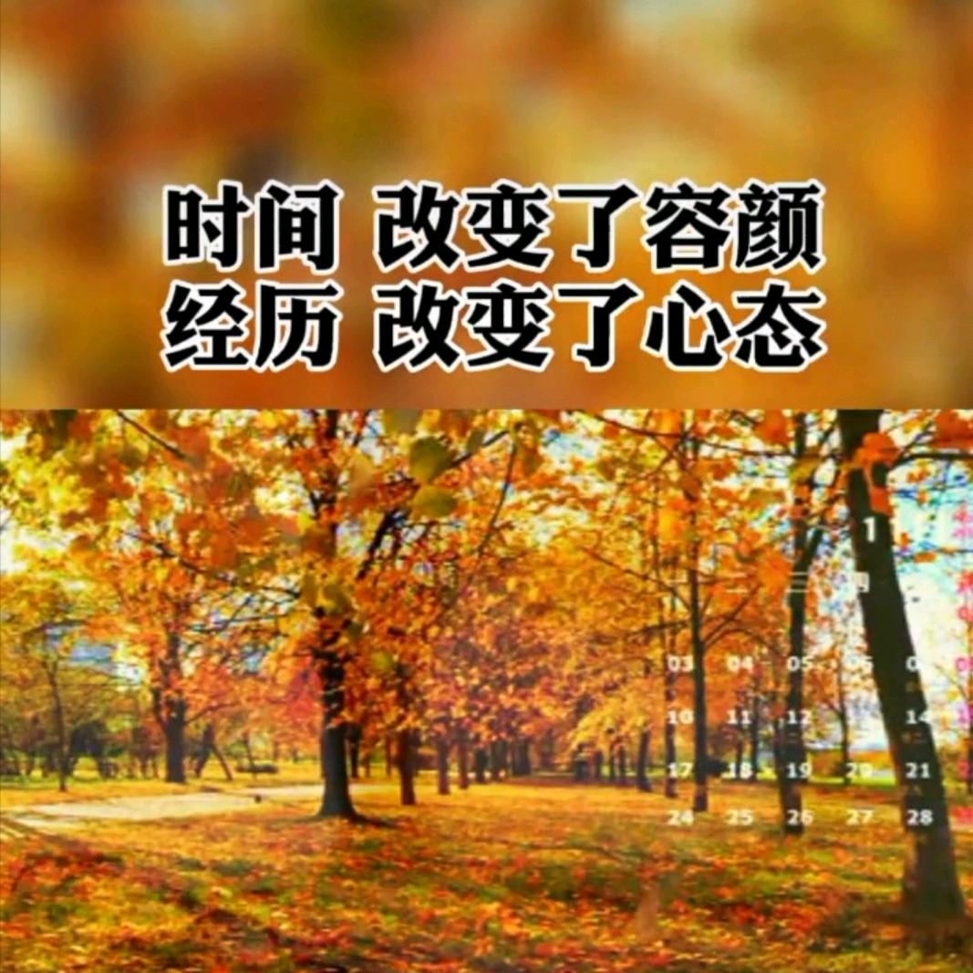 走自己的路（620）