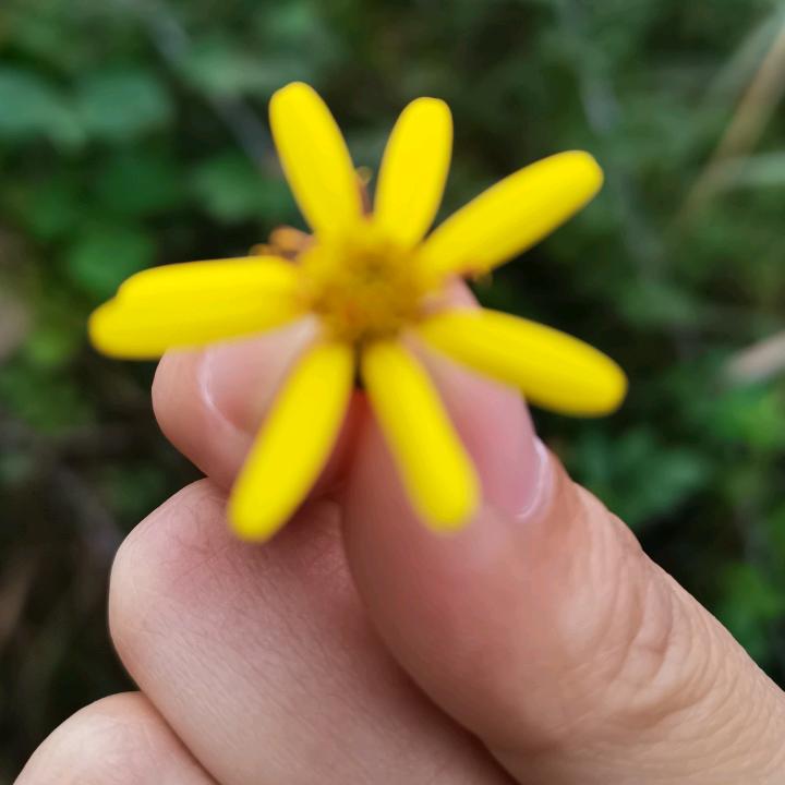 唯美格调