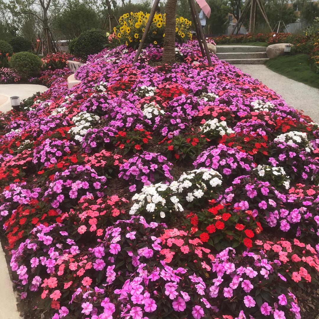 用户5308591371783春暖花开