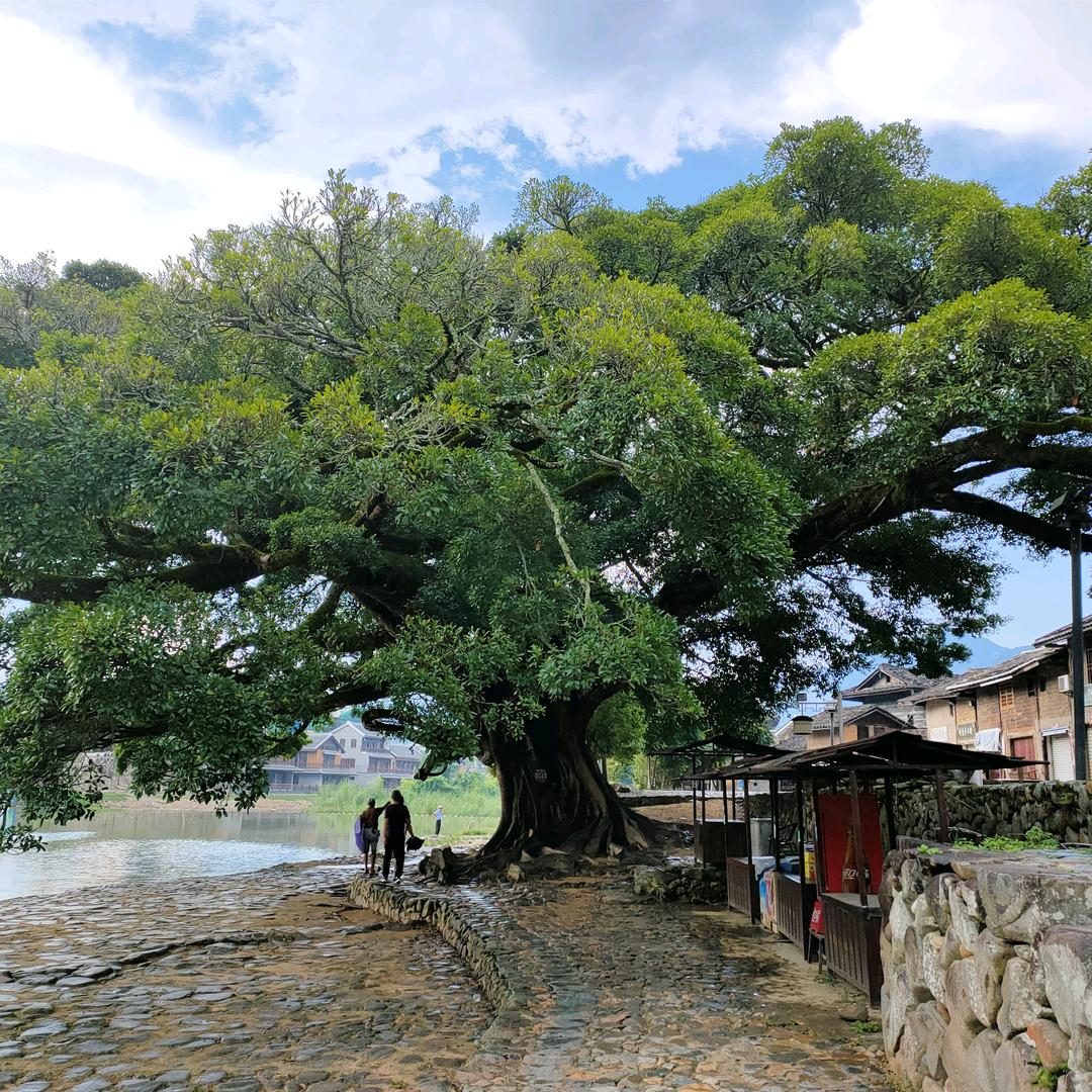 守护平安，我的朋友