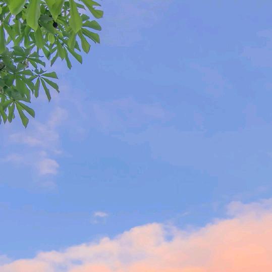 为什么取名字这么难
