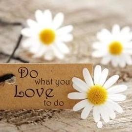 初中快速提分戴老师