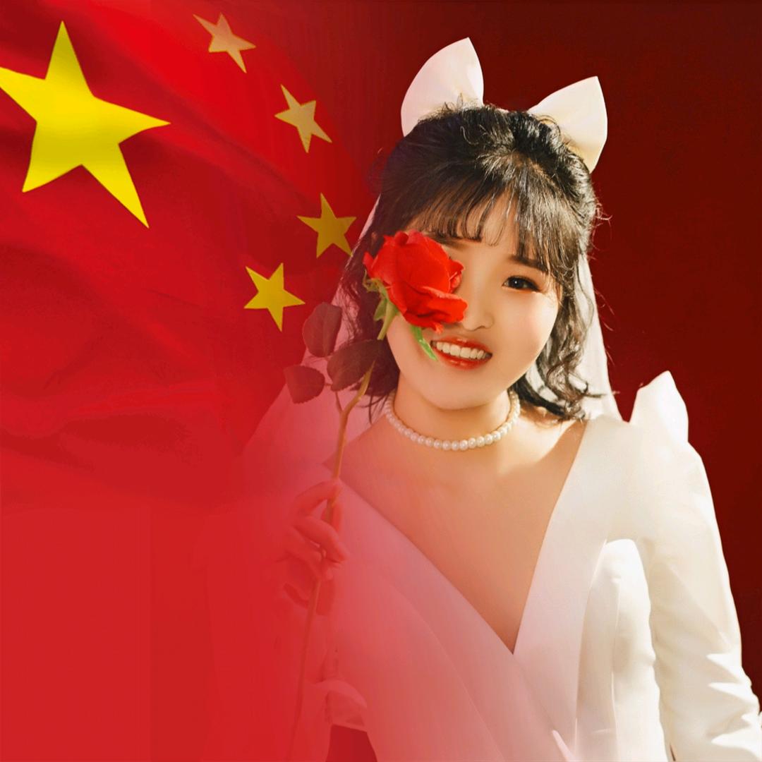 一只肥猫