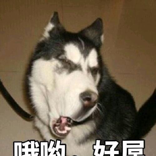 泡泡茶壶🍵