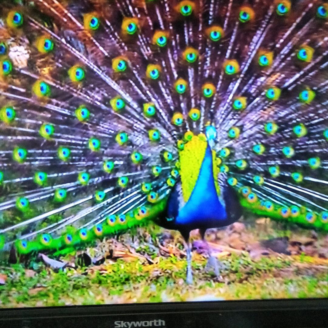 用户4985982632805