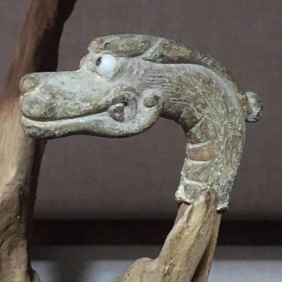 龙得传人蒙山蒿