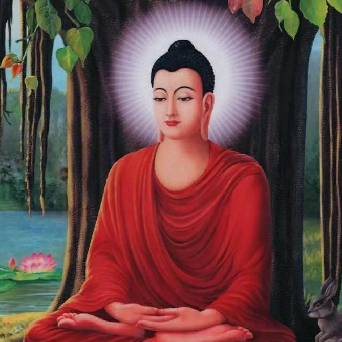 河北善缘