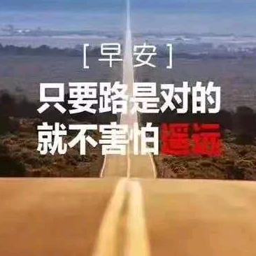 茉莉姐