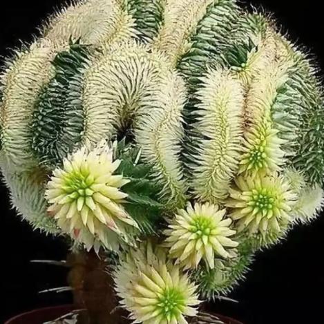 和你在一起真开心