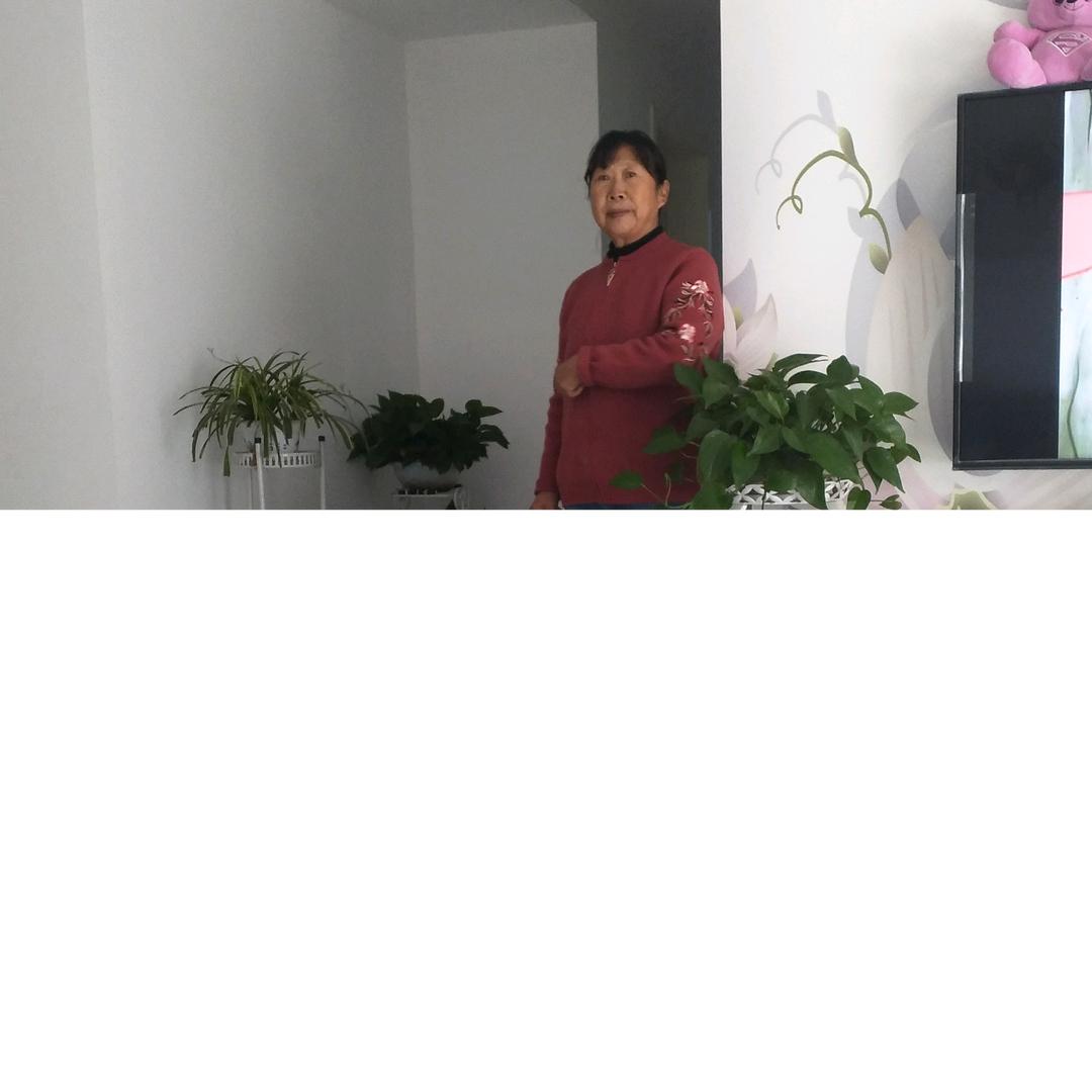 玉兰