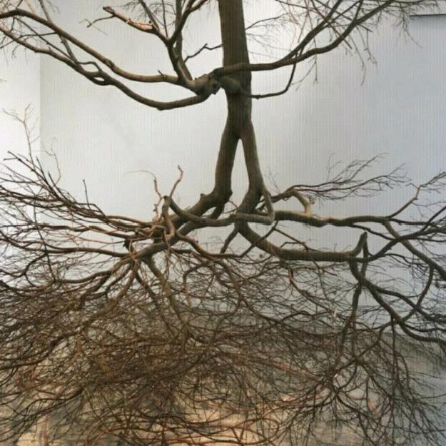 远离风景