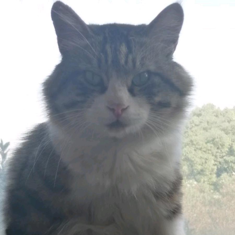 为所爱之人，寻最美之花