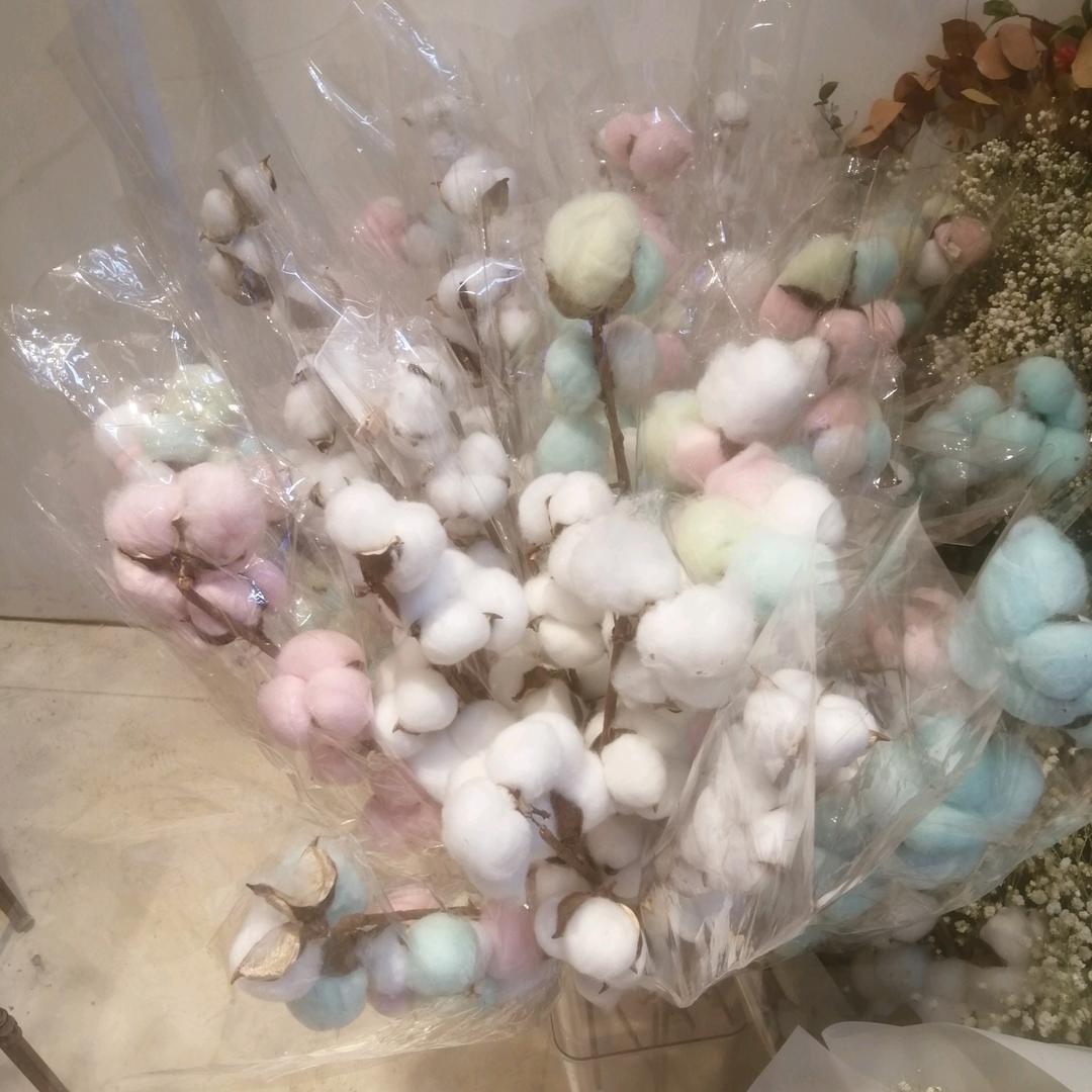 栩🍇多🍎欢🎶乐