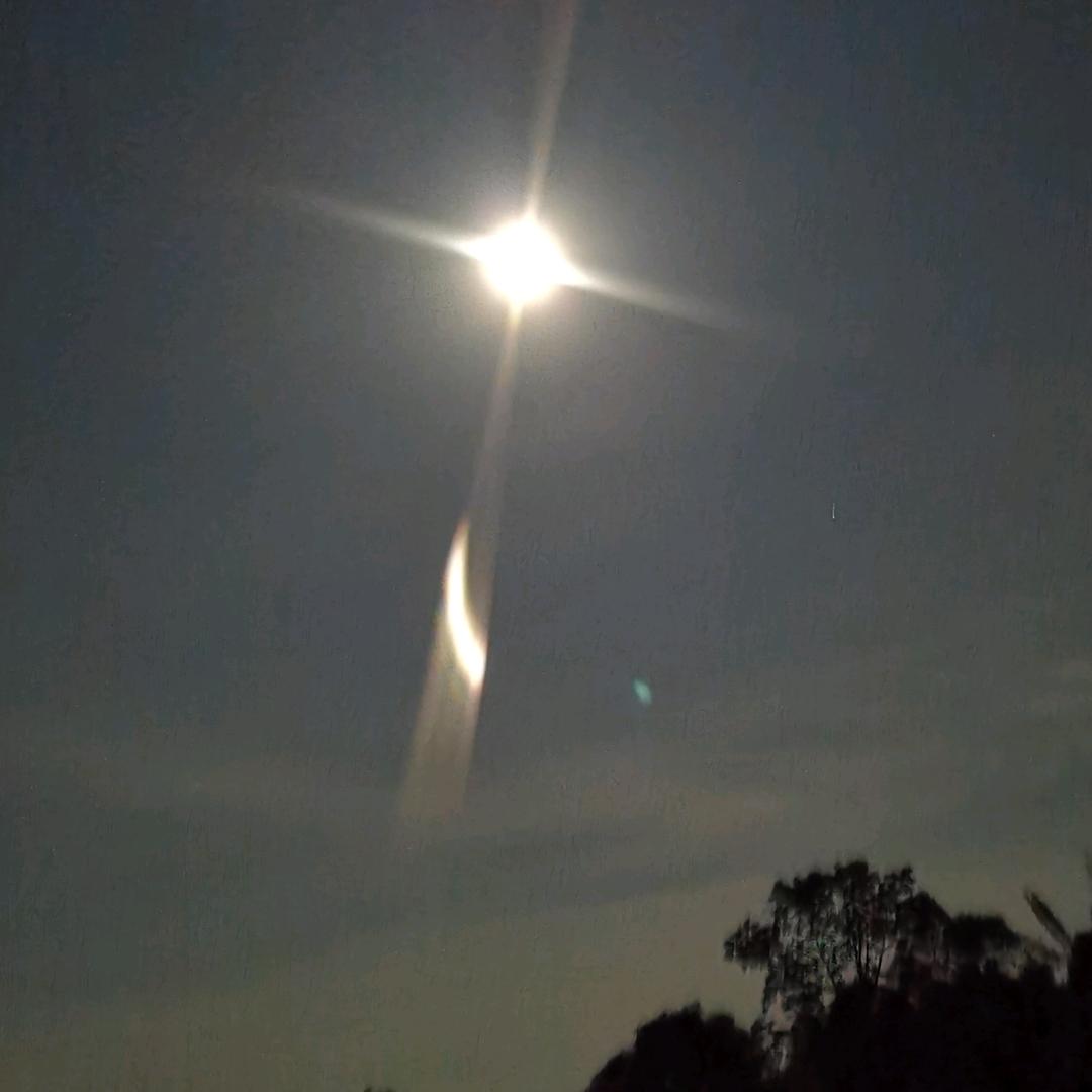 我不看月亮🌙