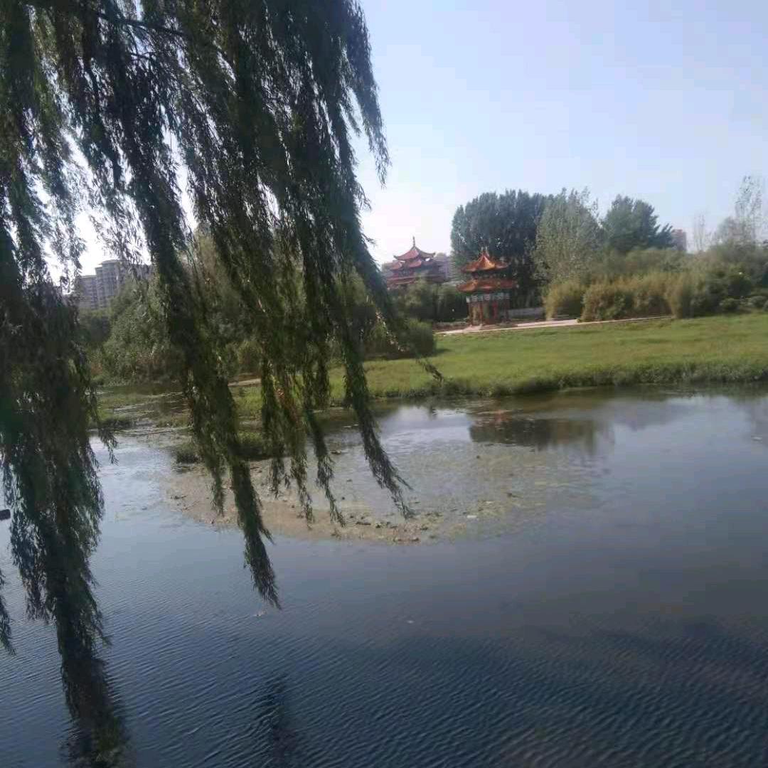 光辉岁月