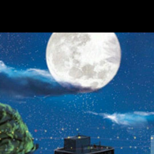 夜精灵