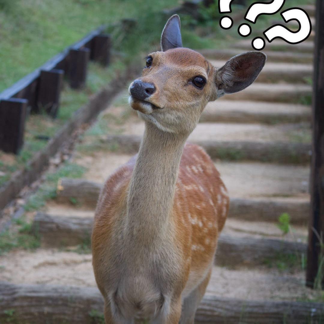 喝杯芋圆奶茶啊