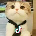 未来