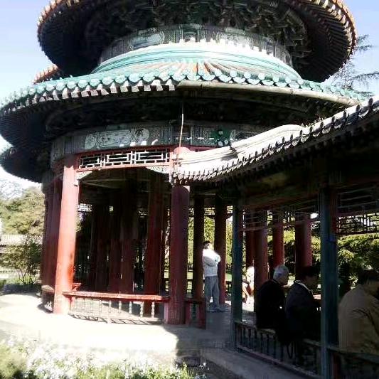 艳阳天