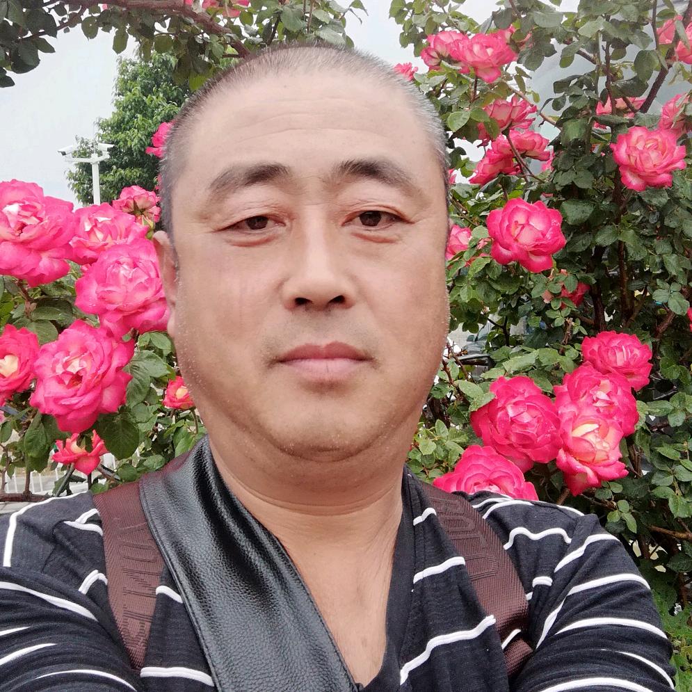 飞龙入海