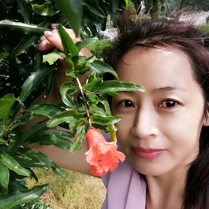 红玫瑰