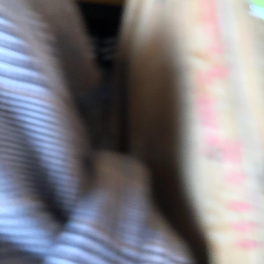 高冷幽灵
