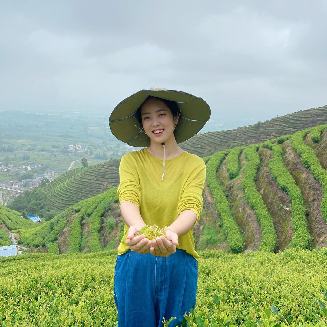 小林夫妇茶叶