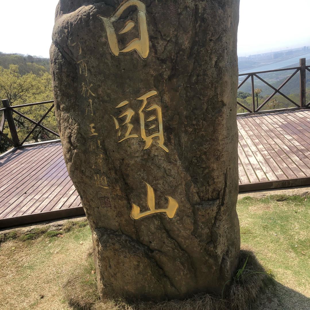 毛哥