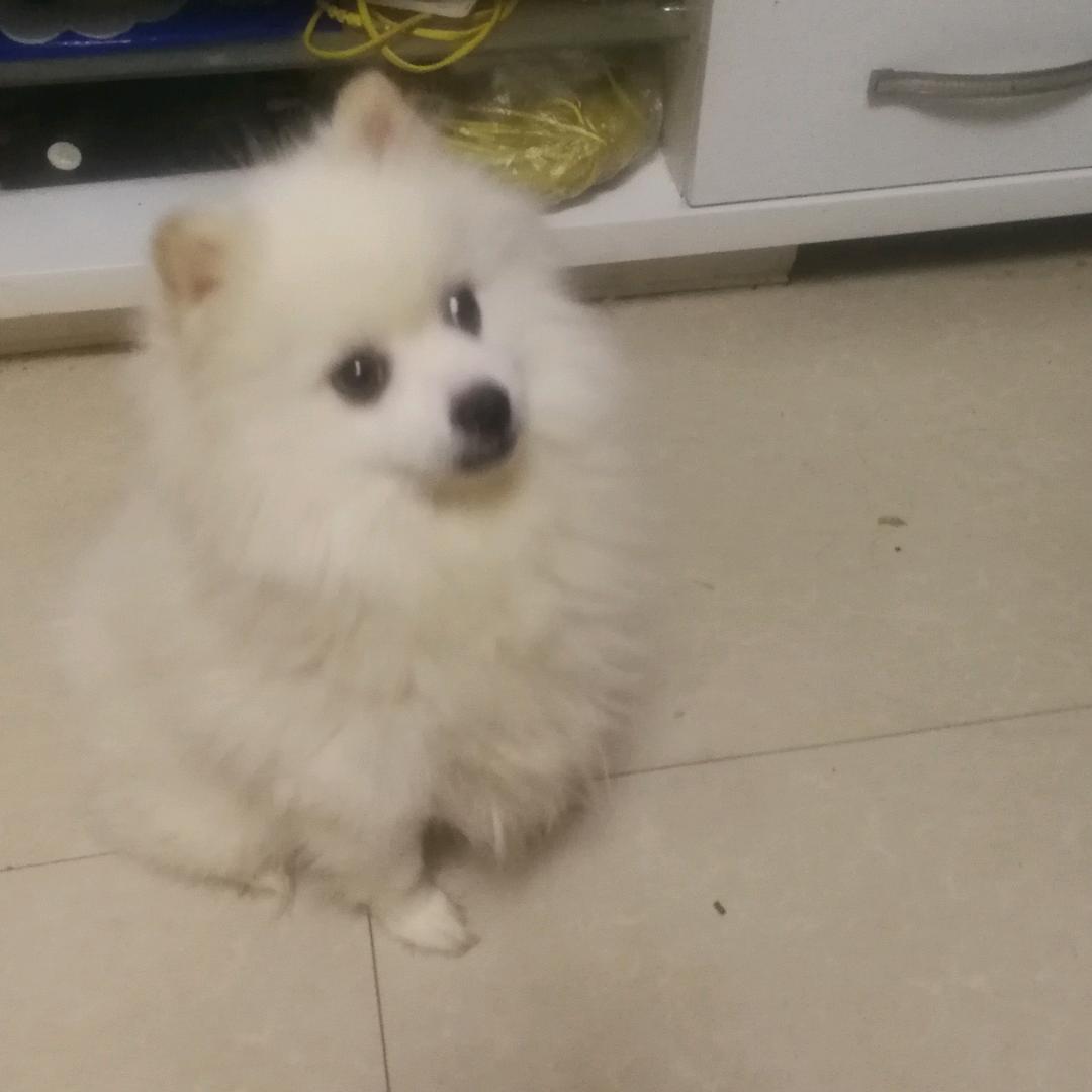 鑫兰