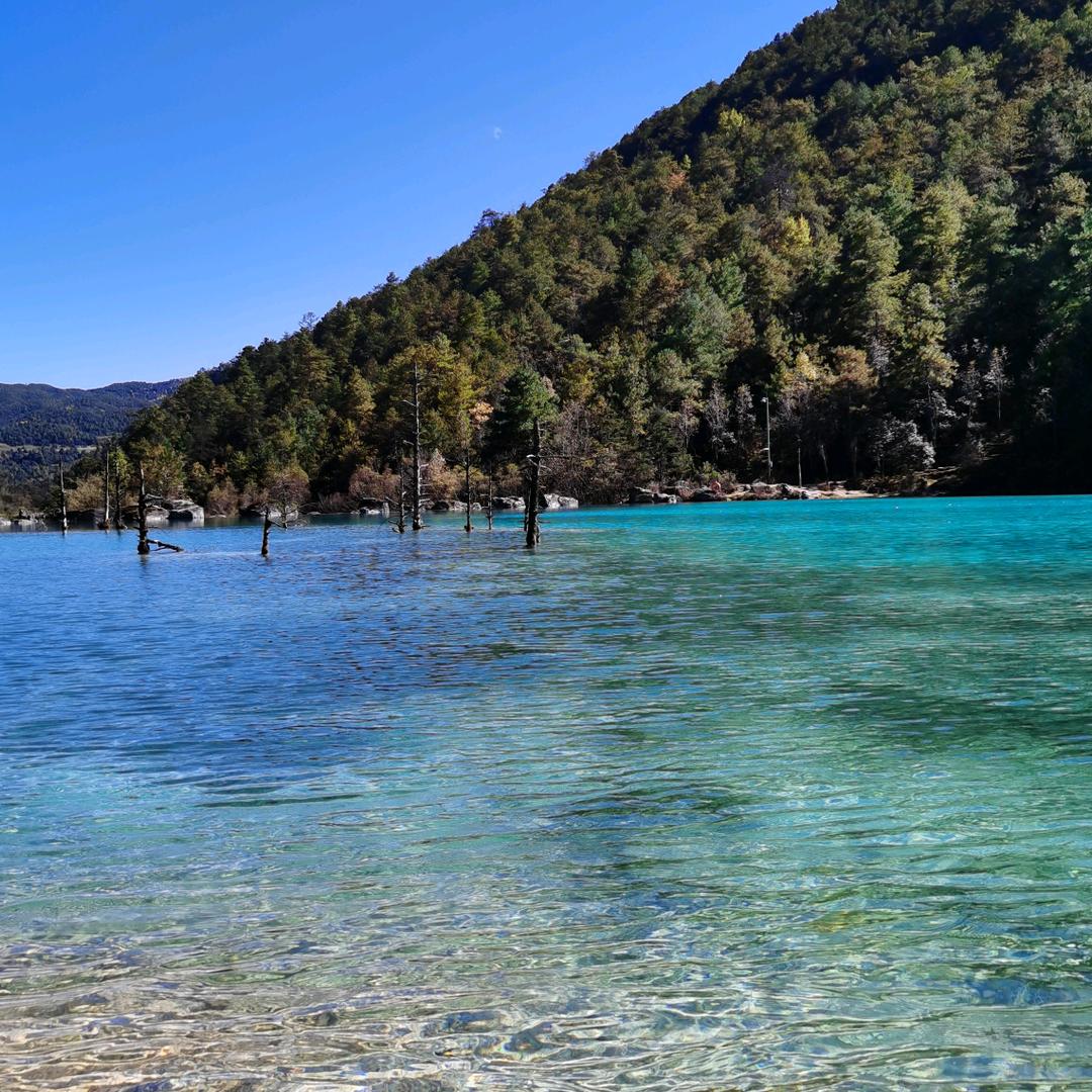 海洋