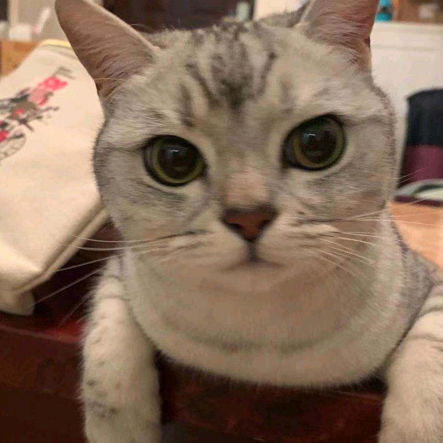 清晨的第一缕阳光