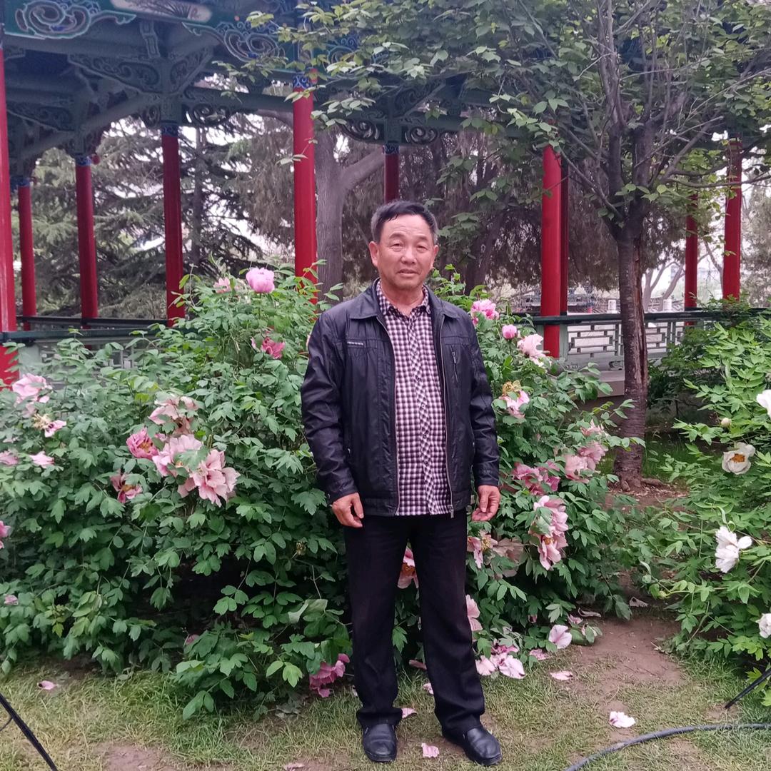 杨先生