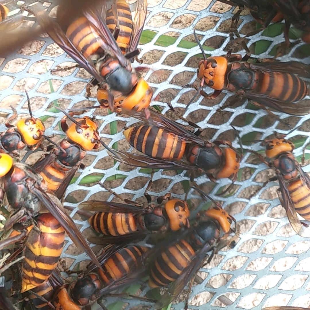 (◦˙▽˙◦)天空