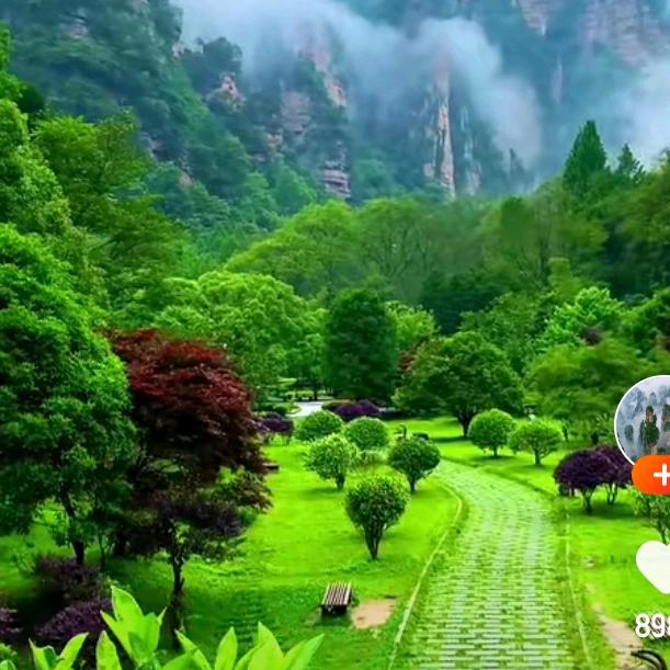 飞行形影