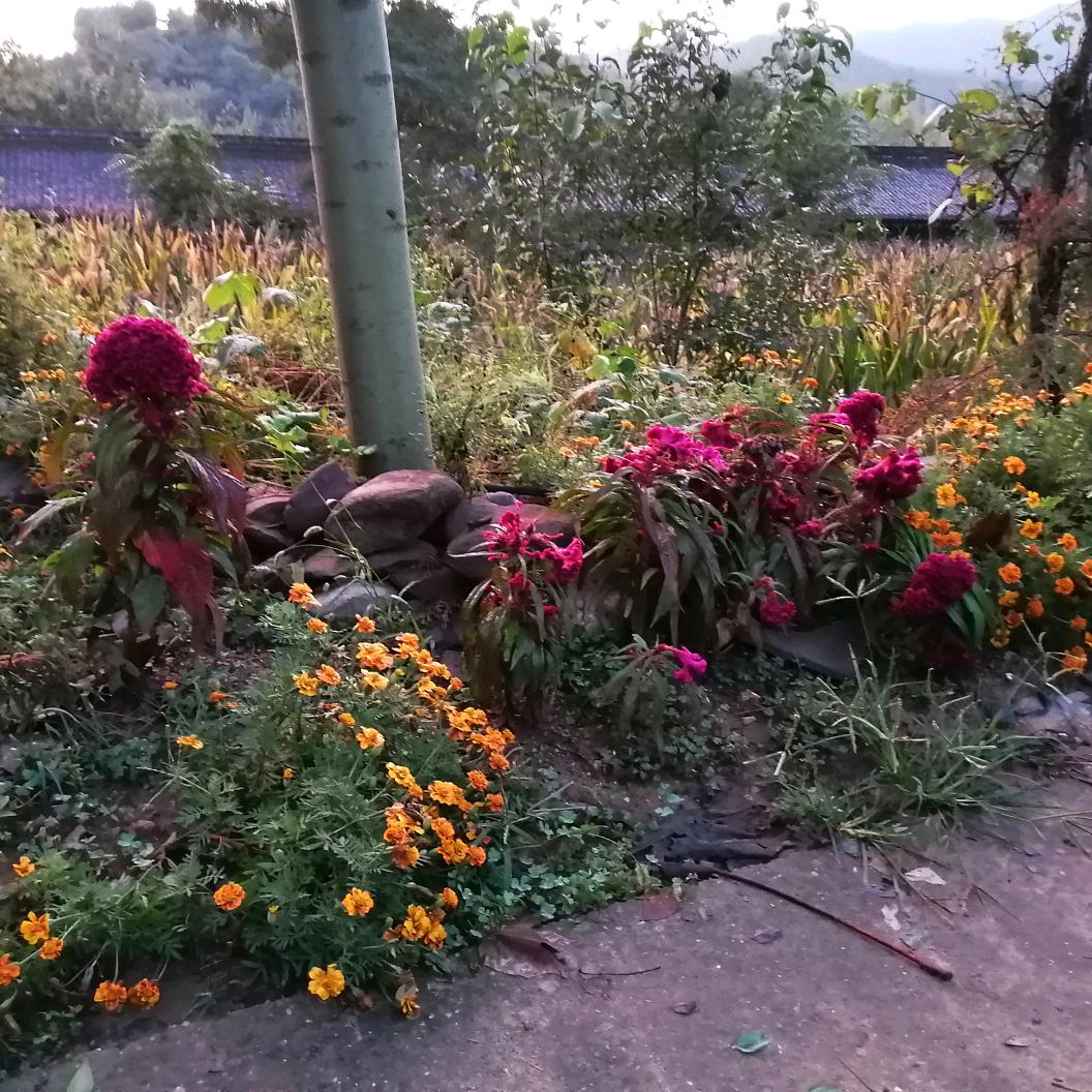 岁月