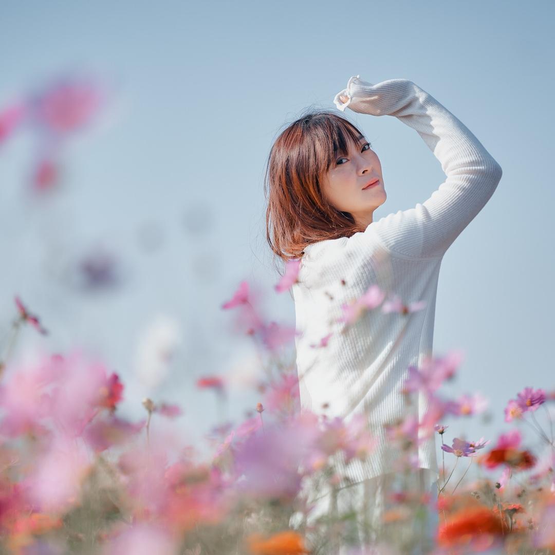 春天的精灵