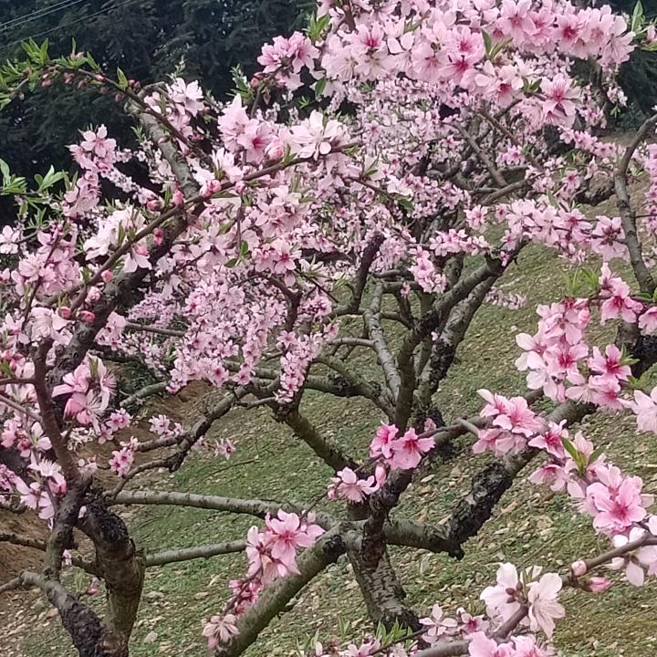 （湘哥）彼此珍惜