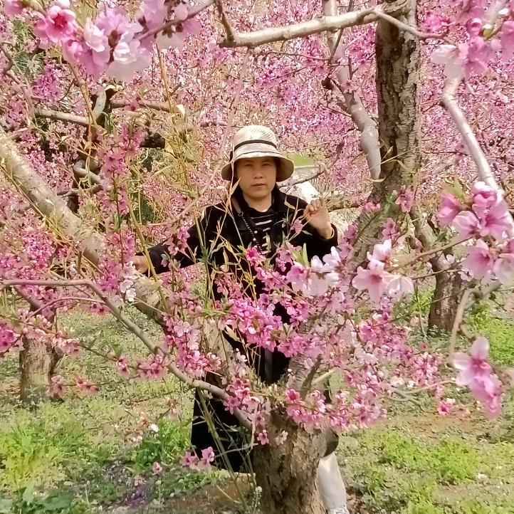 友好
